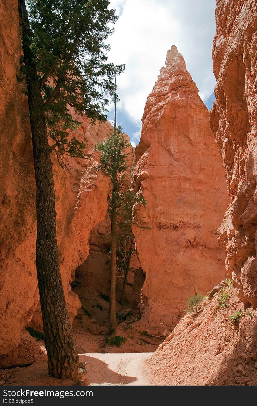 Hiking near the bottom of the Navaho Loop, Bryce National Park. Hiking near the bottom of the Navaho Loop, Bryce National Park