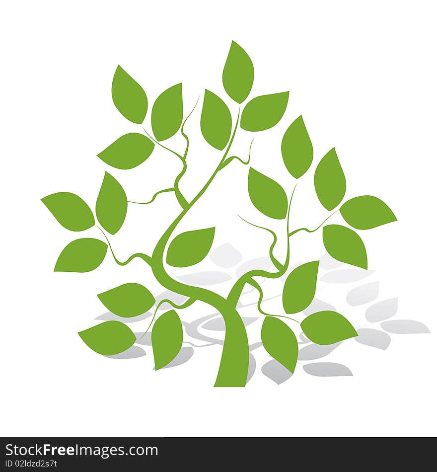 Illustration, single green tree on white background