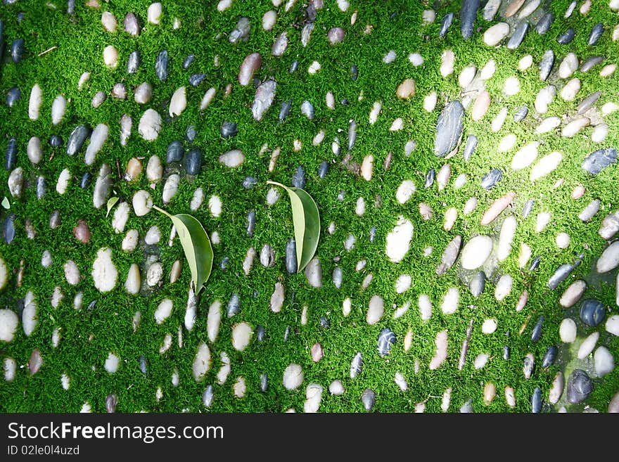 Details of a grass and pebbles background