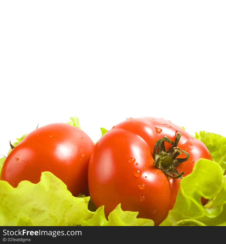 Tomatoes in salad leaves