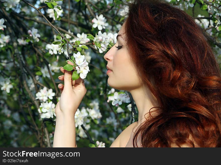 A smiling girl in apple-tree blossom. A smiling girl in apple-tree blossom