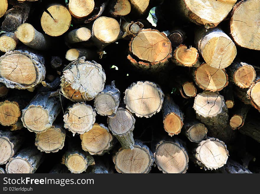 Stack firewood. Wood under the sun