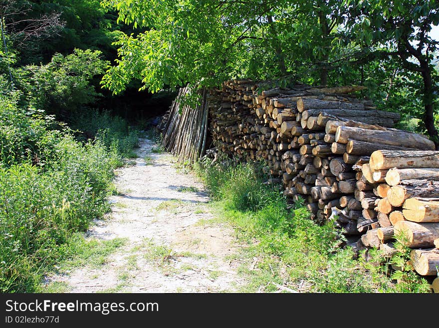 Stack firewood. Wood under the sun. Logs