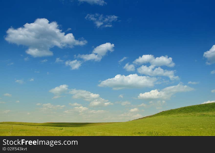 Green meadows before the fresh summer rain. Green meadows before the fresh summer rain