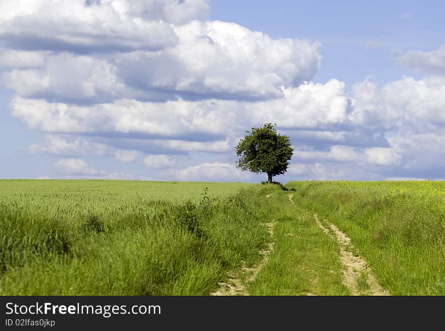 Countryside