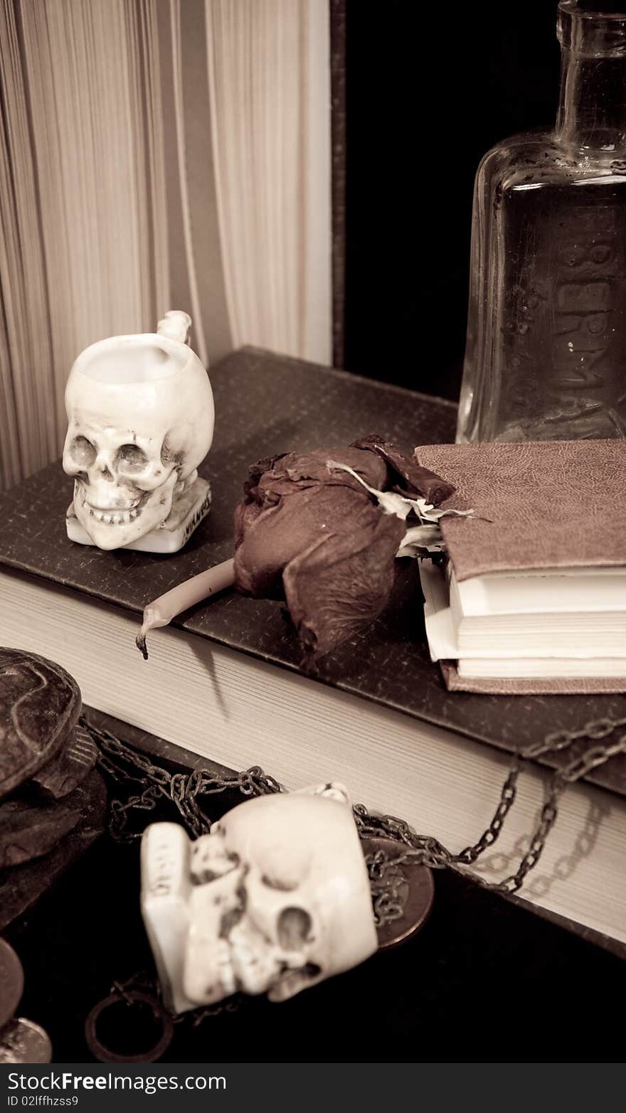 Books And Skulls