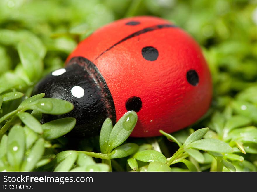 Toy ladybug on the grass