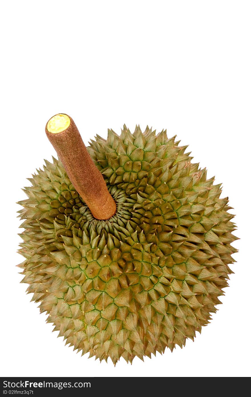 Durian, King Of Tropical Fruit