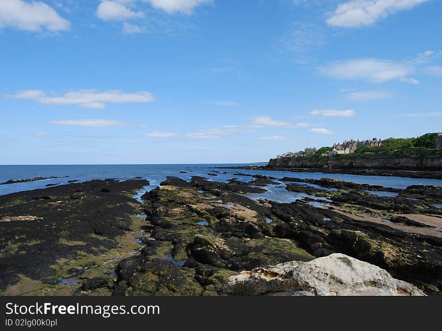 A rocky coastline at St. andrews in Scotland provides many small sheltered beach areas at low tide