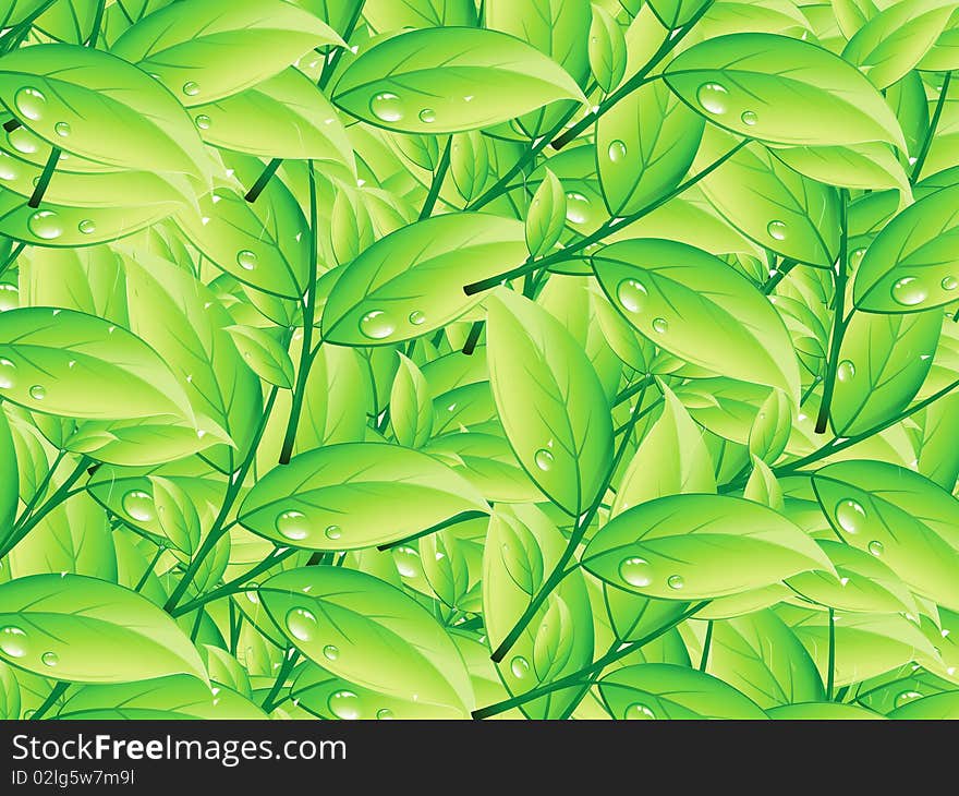 Beautiful green foliage ornament pattern, illustration