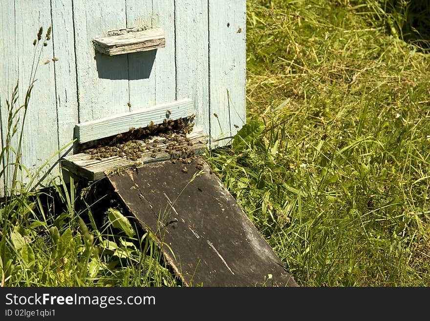 The beehive costs in a grass and from it bees take off. The beehive costs in a grass and from it bees take off