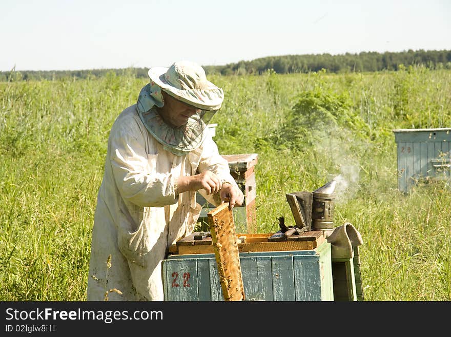 Work of the beekeeper