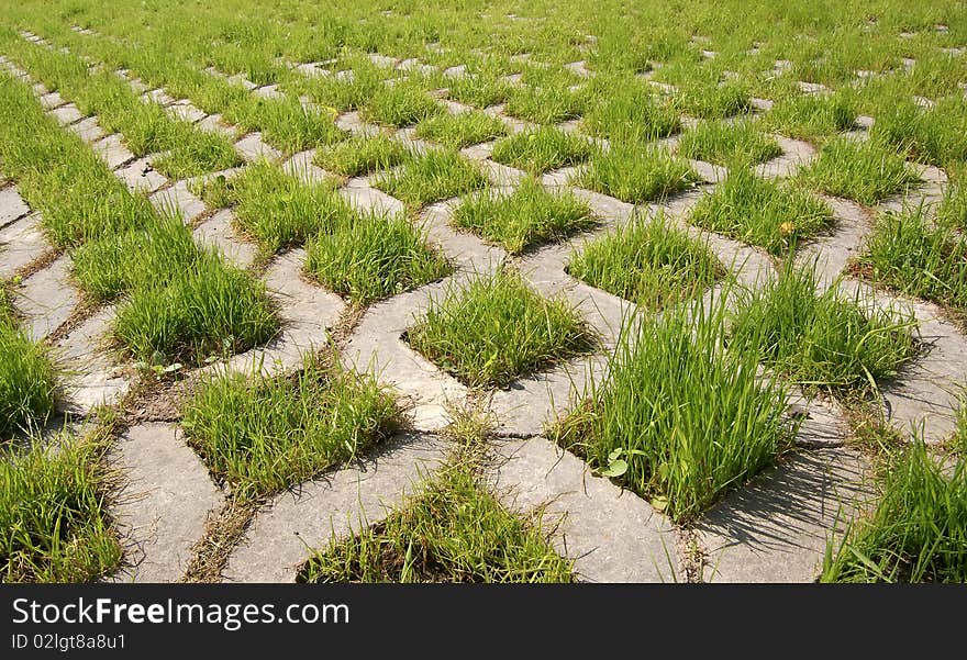 Young green grass grows from the concrete structure