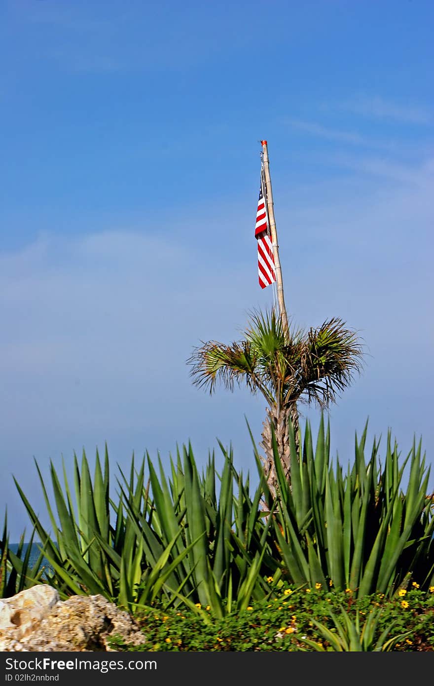 American Flag in Palm Tree Sanibel Florida