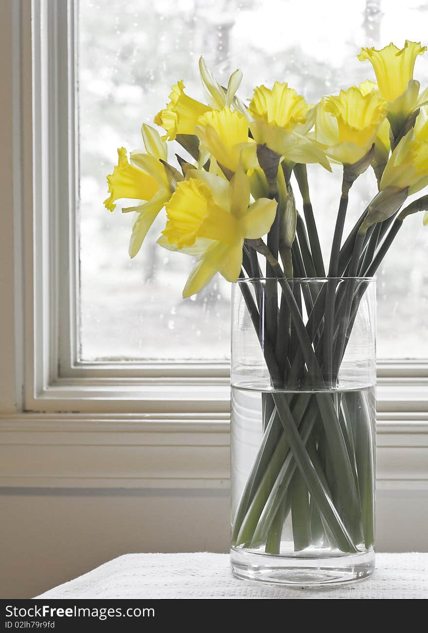 Daffodils bouquet