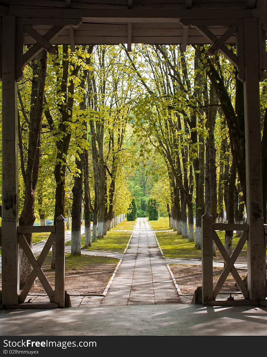 Autumn in park