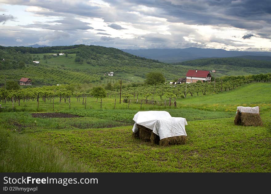 Rural view, rural scene, photo taken in Maramures Romania