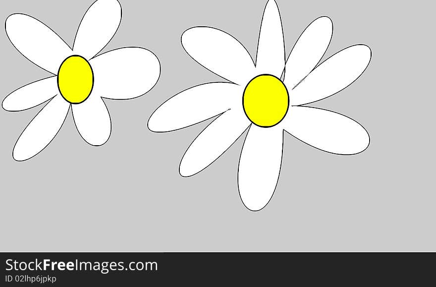 The two flowers on grey background