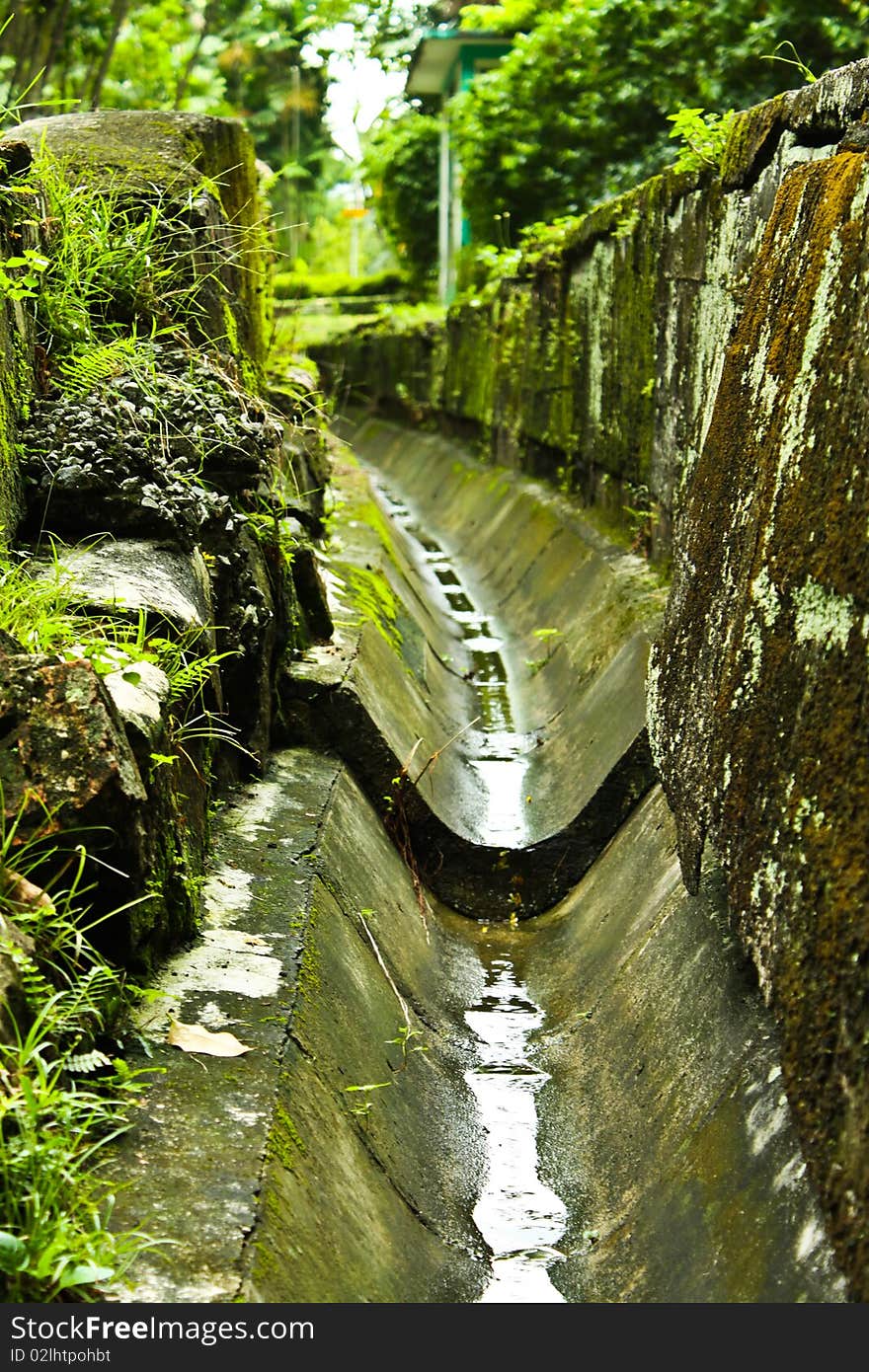 The drain in garden park