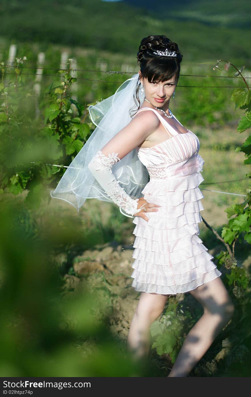 Portrait of beautiful young bride in vineyard.