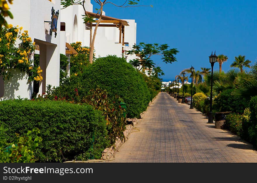 Green Park On Sinai Peninsula