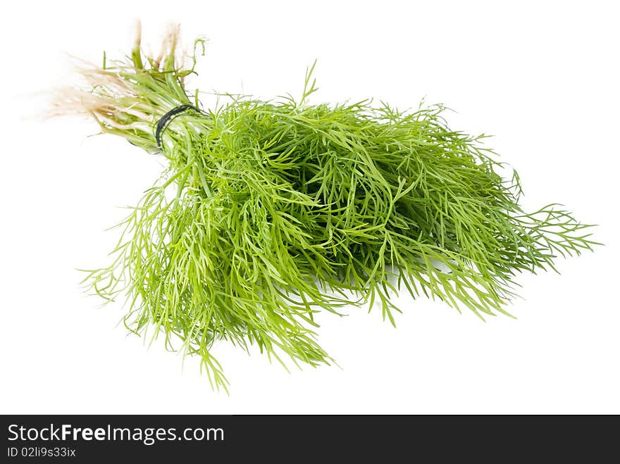 Dill Over White Background