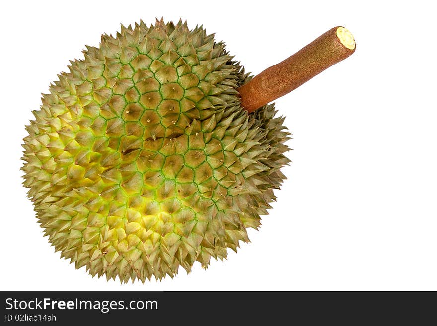 Tropical fruit, Durian, on white background. Tropical fruit, Durian, on white background