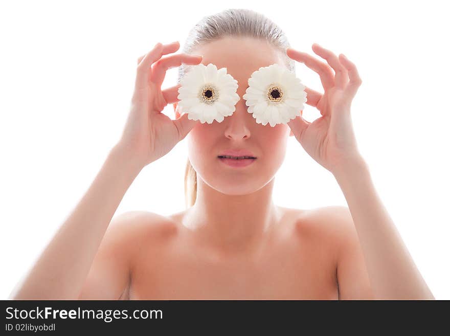 Gerbera Glasses