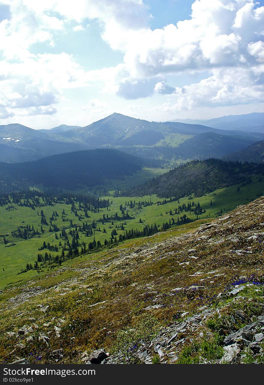 Photographed in the Sayan Mountains near Abakan.