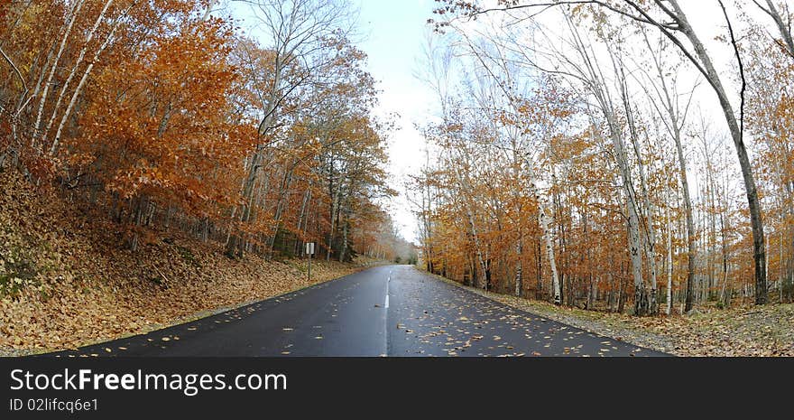 Autumn in Acadia National Park, Bar Harbor, USA