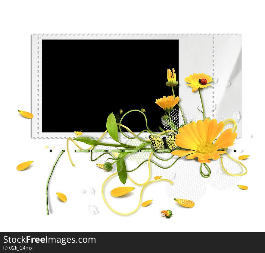 White summer frame with marigold