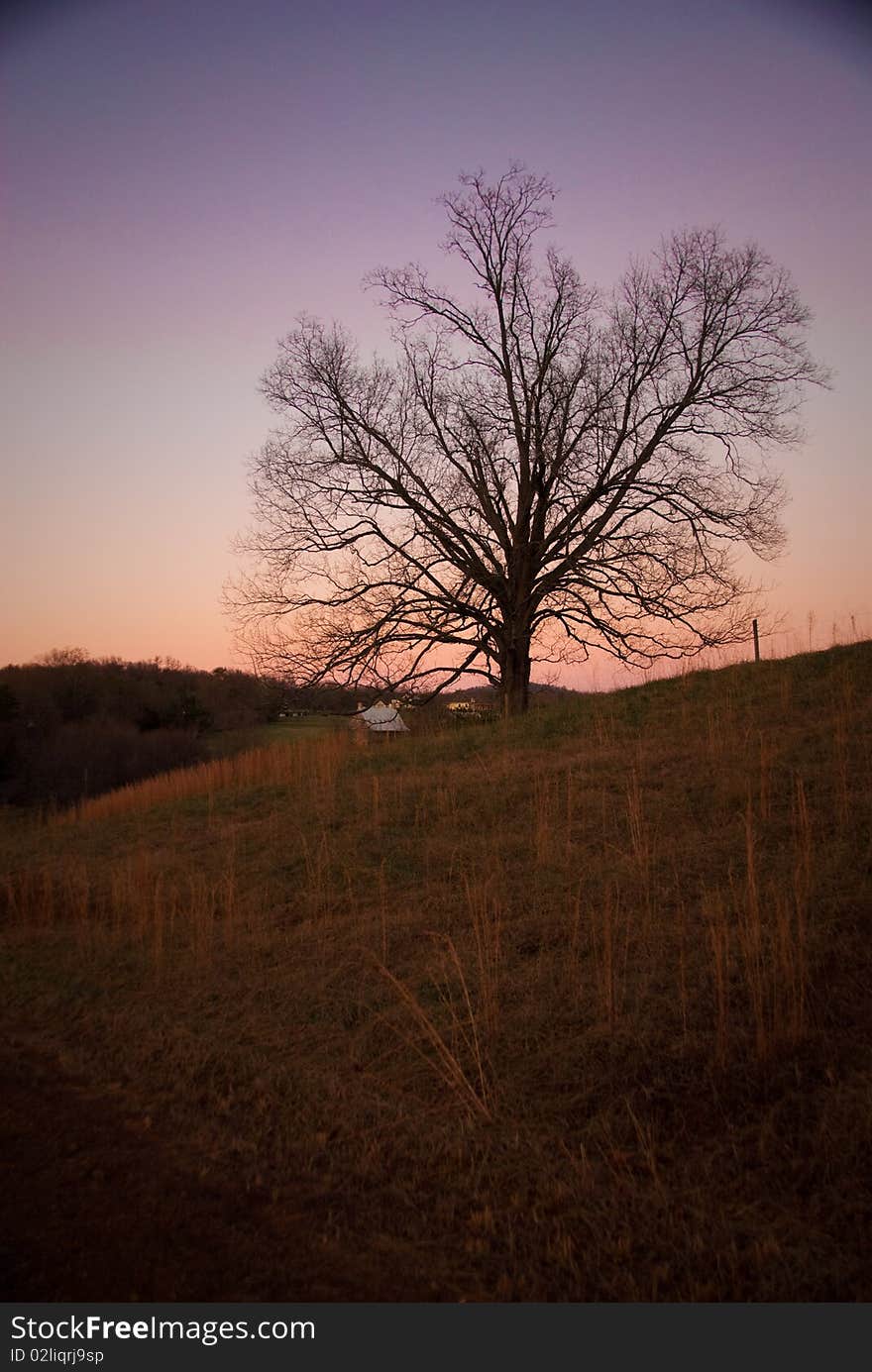 A tree in a field during with a colorful sky at sunset. A tree in a field during with a colorful sky at sunset.