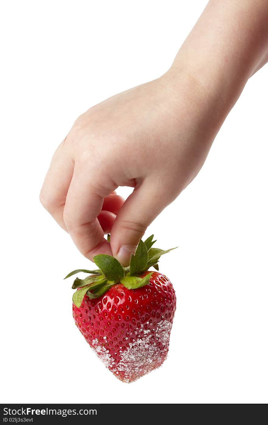 Ripe strawberry in sugar hanging on child's fingers  isolated over white background. Ripe strawberry in sugar hanging on child's fingers  isolated over white background