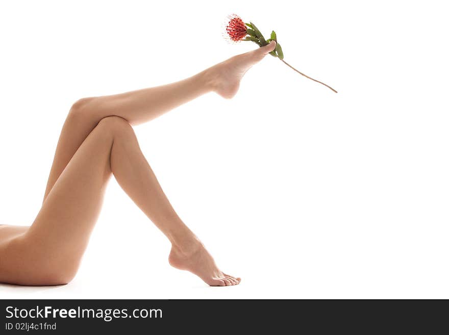 Long legs and the rose