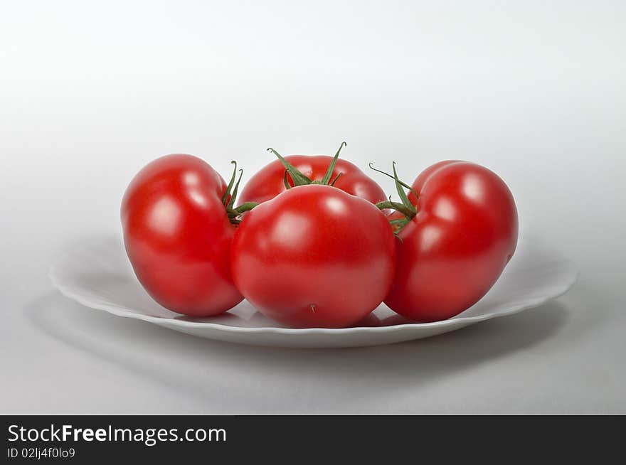 Four tomatoes on the white plate isolated over grey gradient background