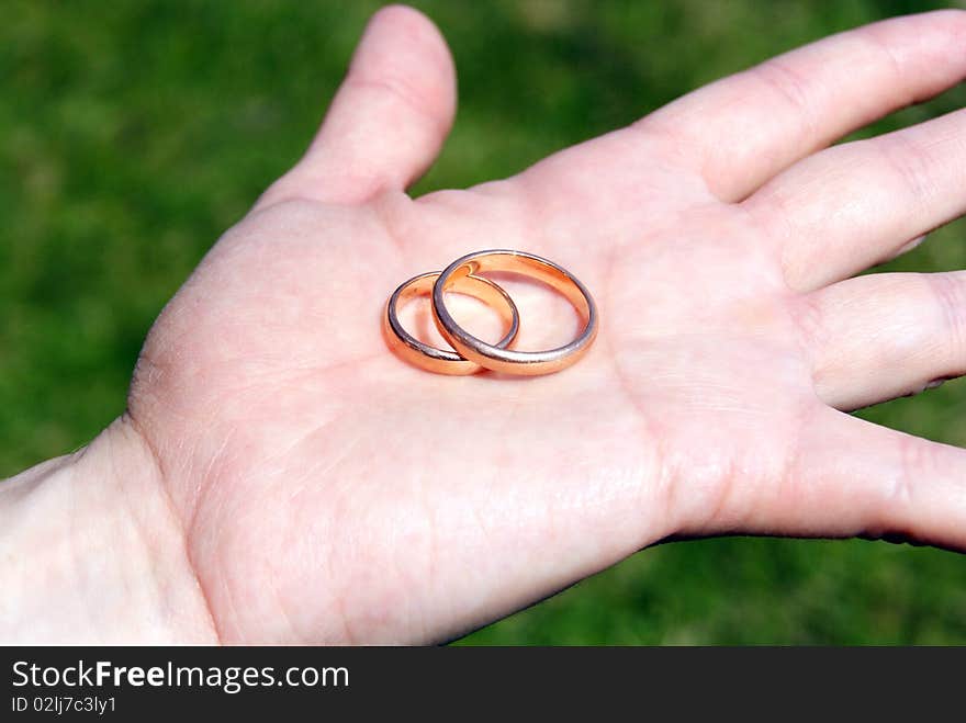 The girl holds two wedding rings in a hand. The girl holds two wedding rings in a hand