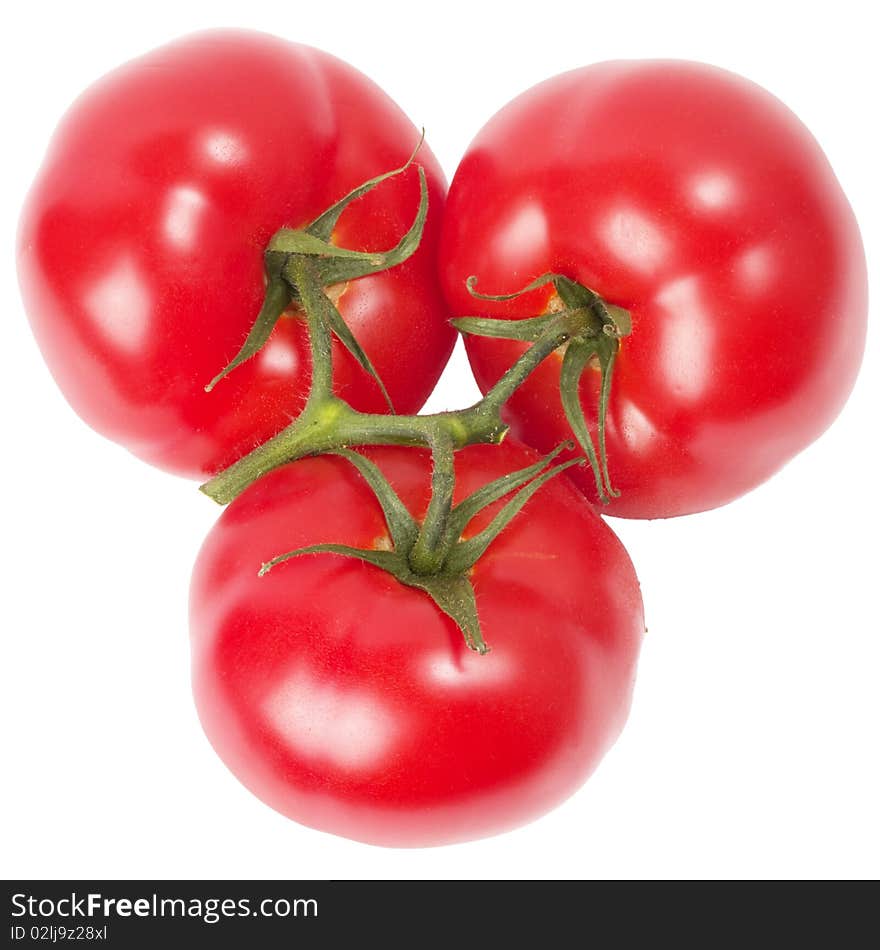 Three tomatoes