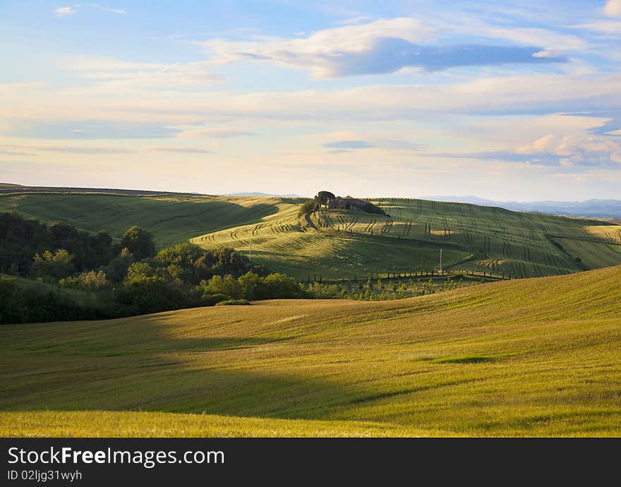 Tuscany Landscape