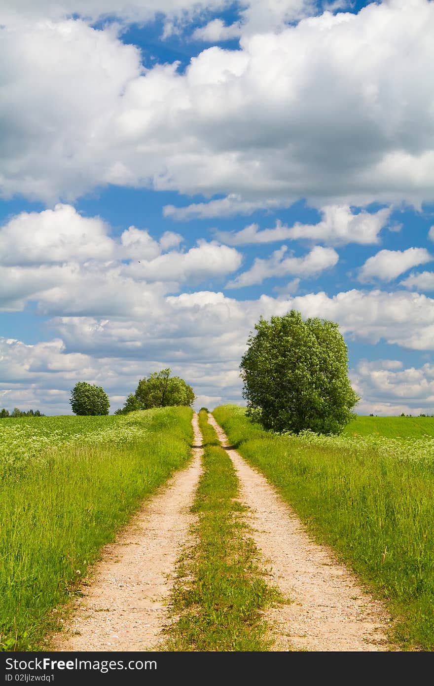 Road through the meadow