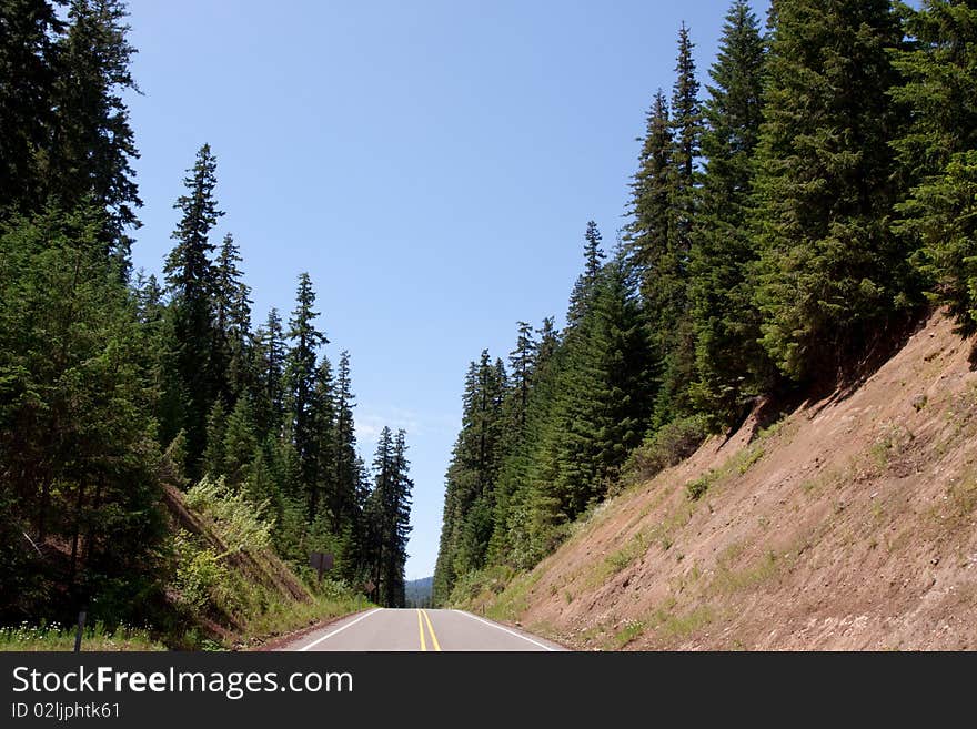 Asphalt road running through a forest. Asphalt road running through a forest