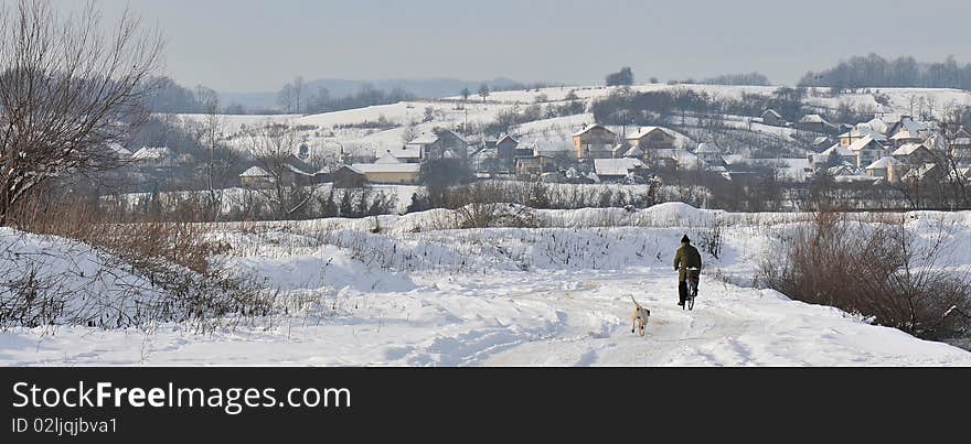 Winter landscape