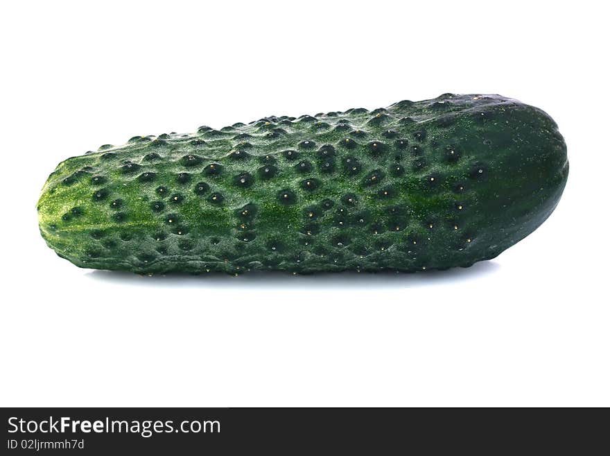 Cucumber