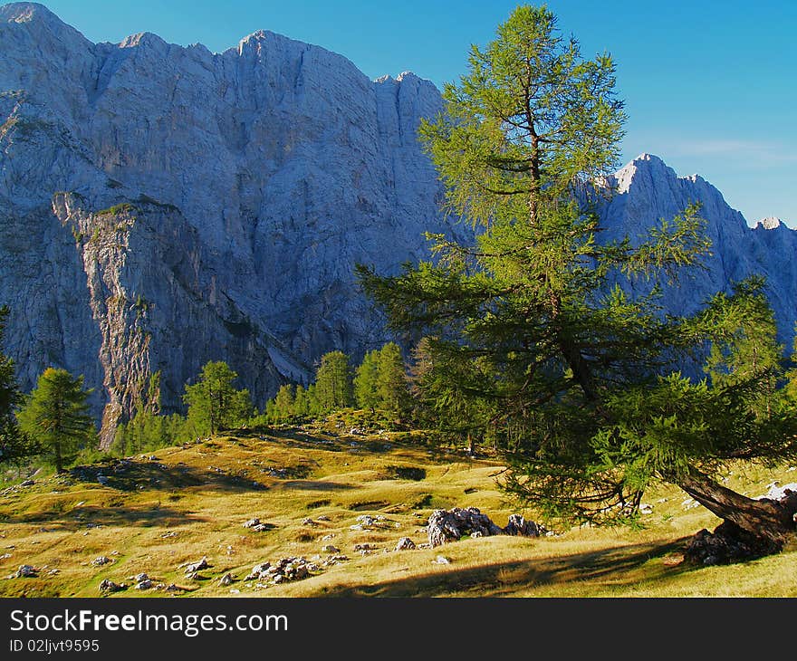 Alpine mountains in a clear weather. Alpine mountains in a clear weather