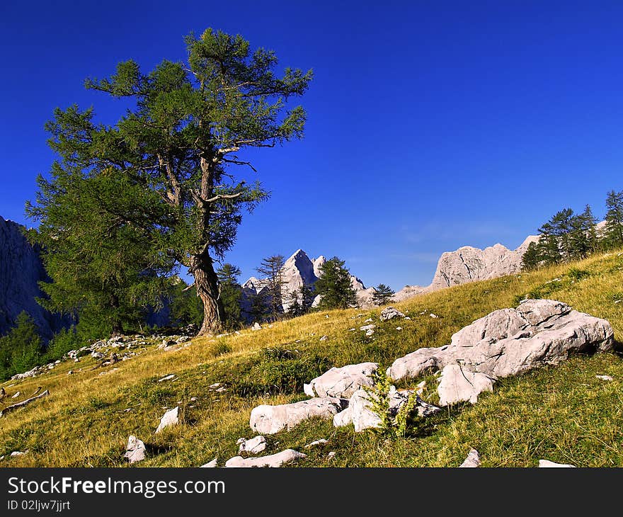 Alpine mountains in a clear weather. Alpine mountains in a clear weather