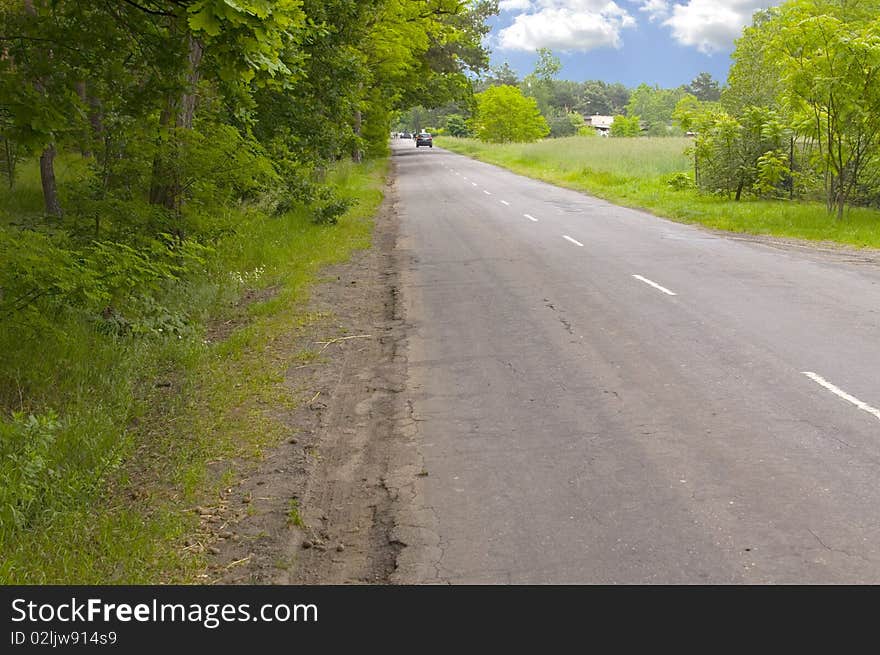 Road in forrest