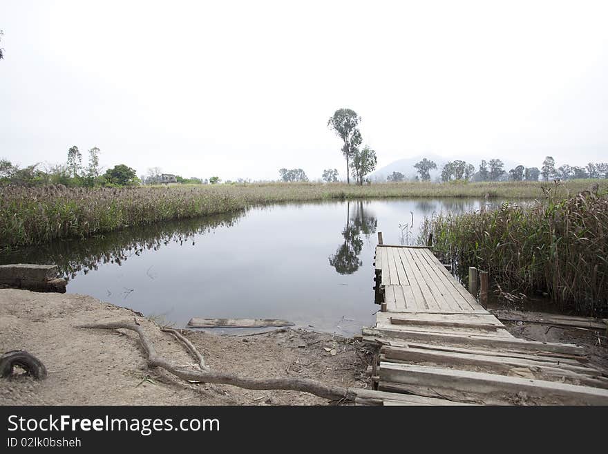 Landscape of waterfront with crude wooden bridge. Landscape of waterfront with crude wooden bridge.