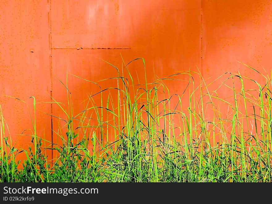 Red metal background and green grass. Red metal background and green grass