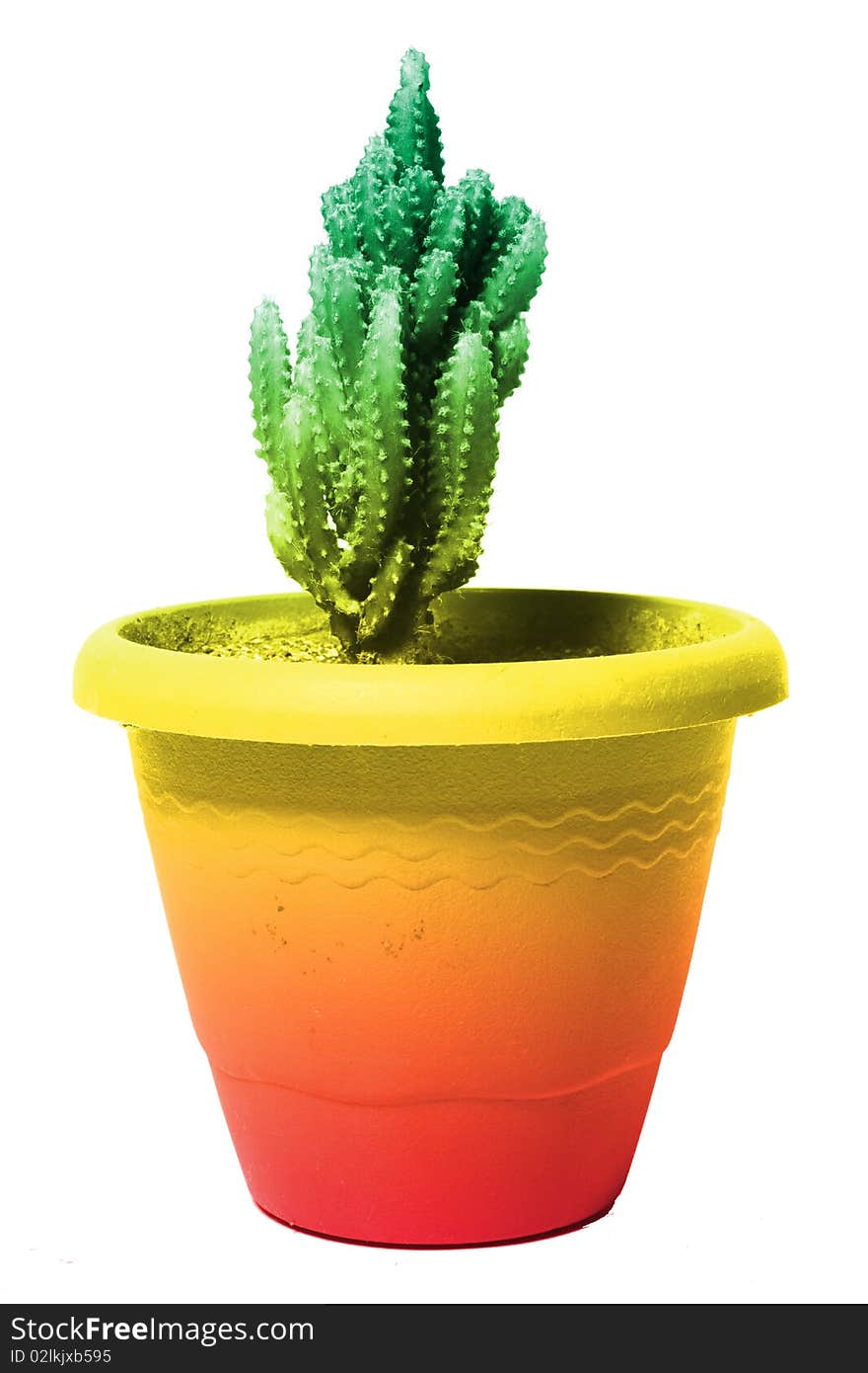 Green cactus on colorful flowerpot isolated. Green cactus on colorful flowerpot isolated