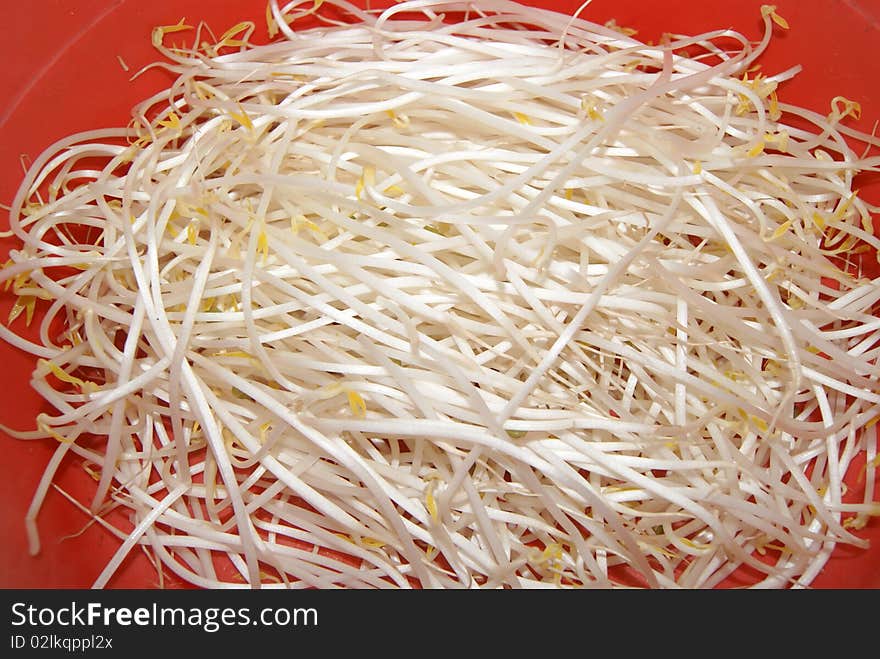 Bean sprouts