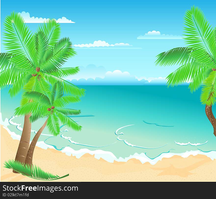 Tropical beach with palms and green leaves